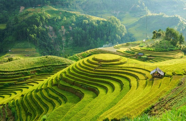 Vietnam e Laos