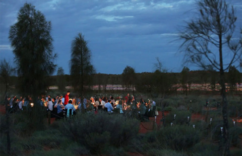 cena field of light