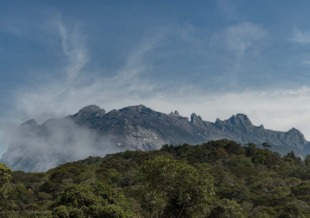 essenza del sabah essenza del sabah