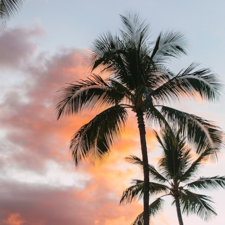 Hawaii: romanticismo nel cuore del Pacifico