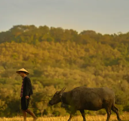 Laos