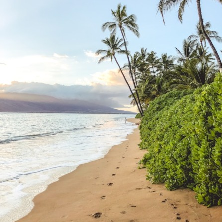 Hawaii: romanticismo nel cuore del Pacifico