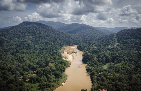 taman negara