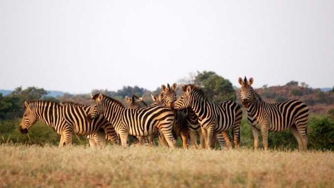 tour guidati africa australe Tour guidati Africa Australe