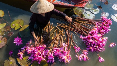 viaggi in oriente