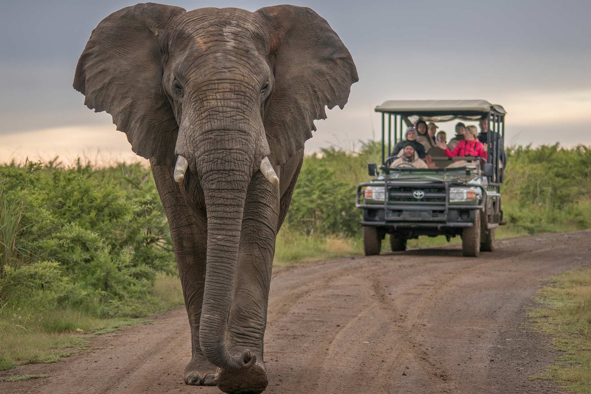 Sudafrica Autentico