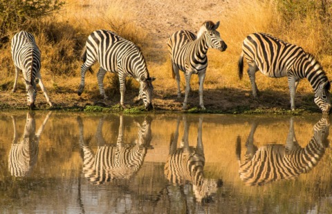Sudafrica Autentico Sudafrica Autentico