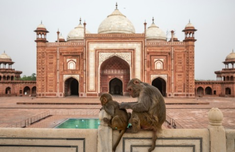 india heritage india heritage