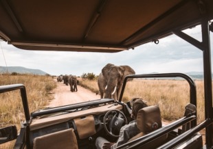 sudafrica e seychelles sudafrica e seychelles