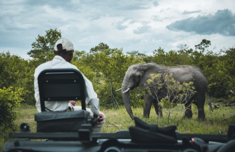 Sudafrica Autentico Sudafrica Autentico