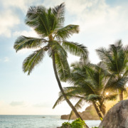 sudafrica e seychelles