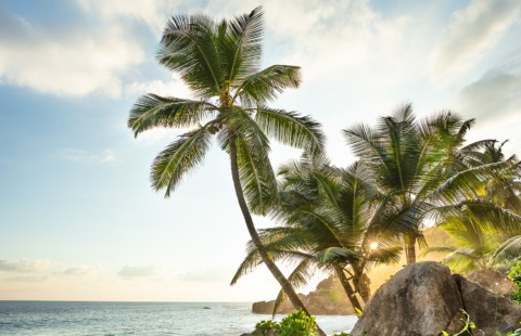sudafrica e seychelles