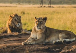 sudafrica e seychelles sudafrica e seychelles