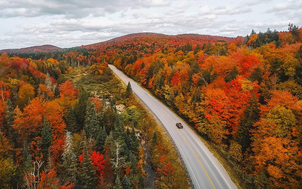 Tour Best of New England