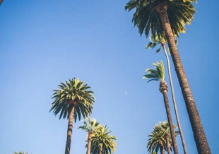 los angeles 23