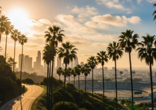 los angeles hero