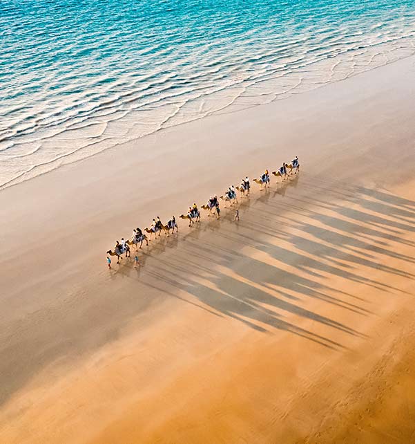 Passeggiata in cammello al tramonto sulla Cable Beach di Broome Passeggiata in cammello al tramonto sulla Cable Beach di Broome