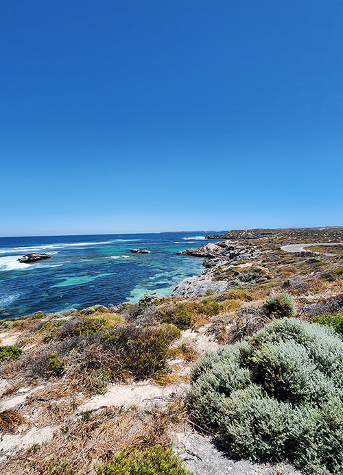 Rottnest Island, la terra dei qokka e delle acque turchesi Rottnest Island, la terra dei qokka e delle acque turchesi