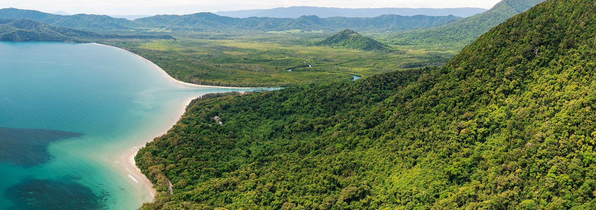 Daintree Forest