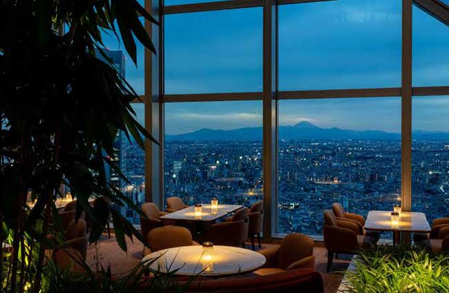 Park Hyatt Tokyo Park Hyatt Tokyo