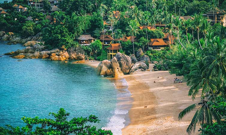 Spiaggia di Koh Samui con le palme