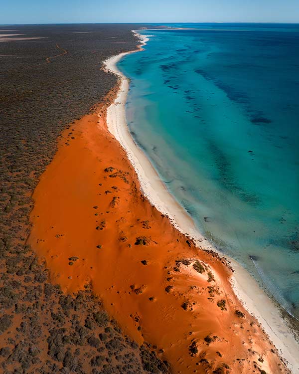 Shark Bay, straordinaria area naturale e sito UNESCO Shark Bay, straordinaria area naturale e sito UNESCO