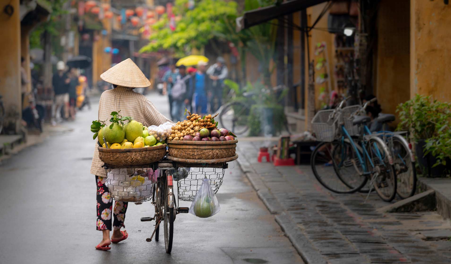 Viaggio su misura in Vietnam
